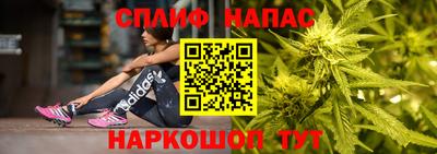 PSILOCYBIN Можайск