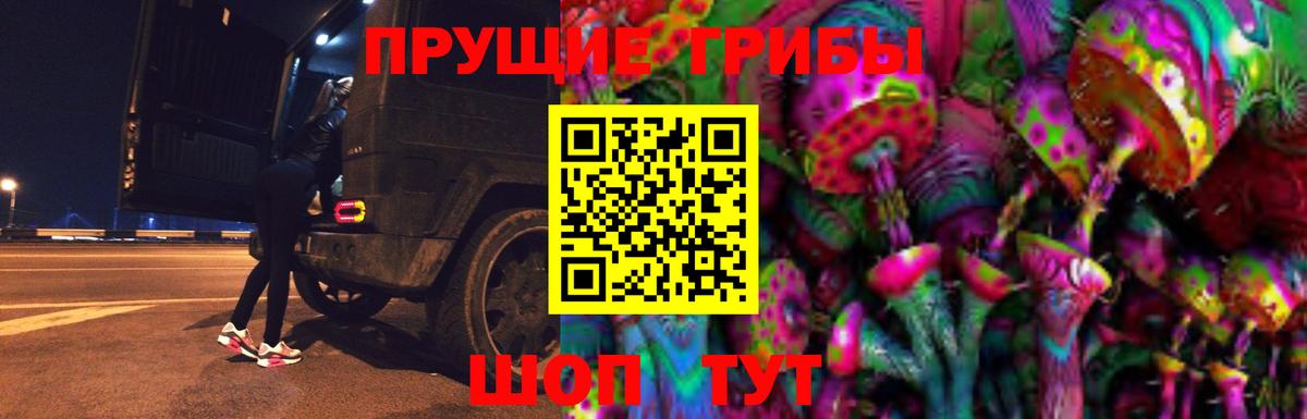 Сосновый Бор  Псилоцибиновые грибы прущие грибы  Вход с VPN  наркотики  Галлюциногенные грибы мицелий 