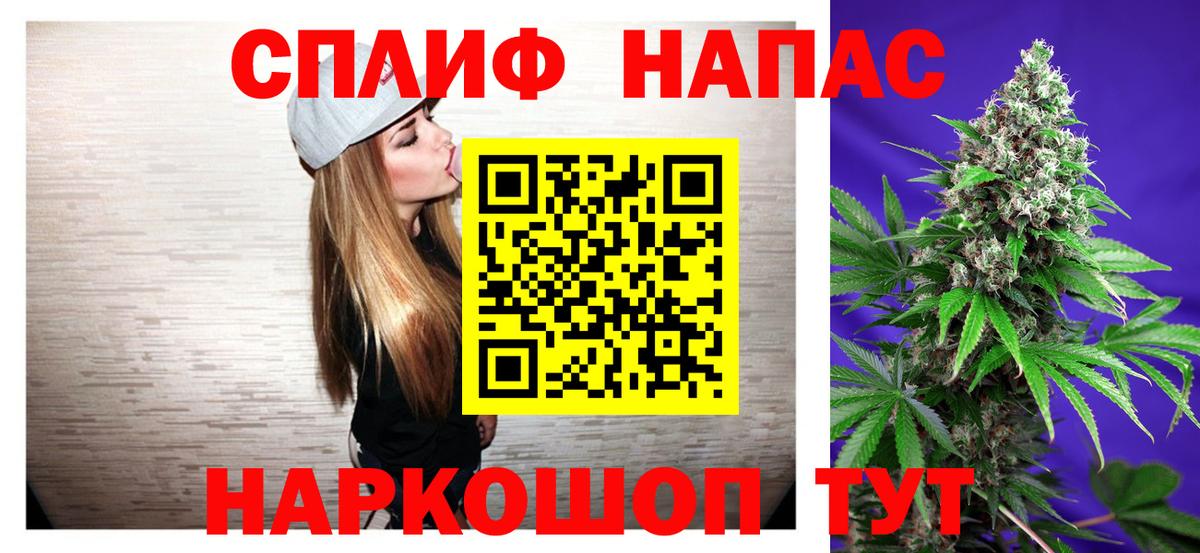 Шишки марихуана марихуана Сосновый Бор